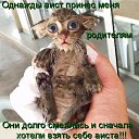 ���� Falia, ������ - ��������� 27 ������� 2016 � ������ ��������:)�