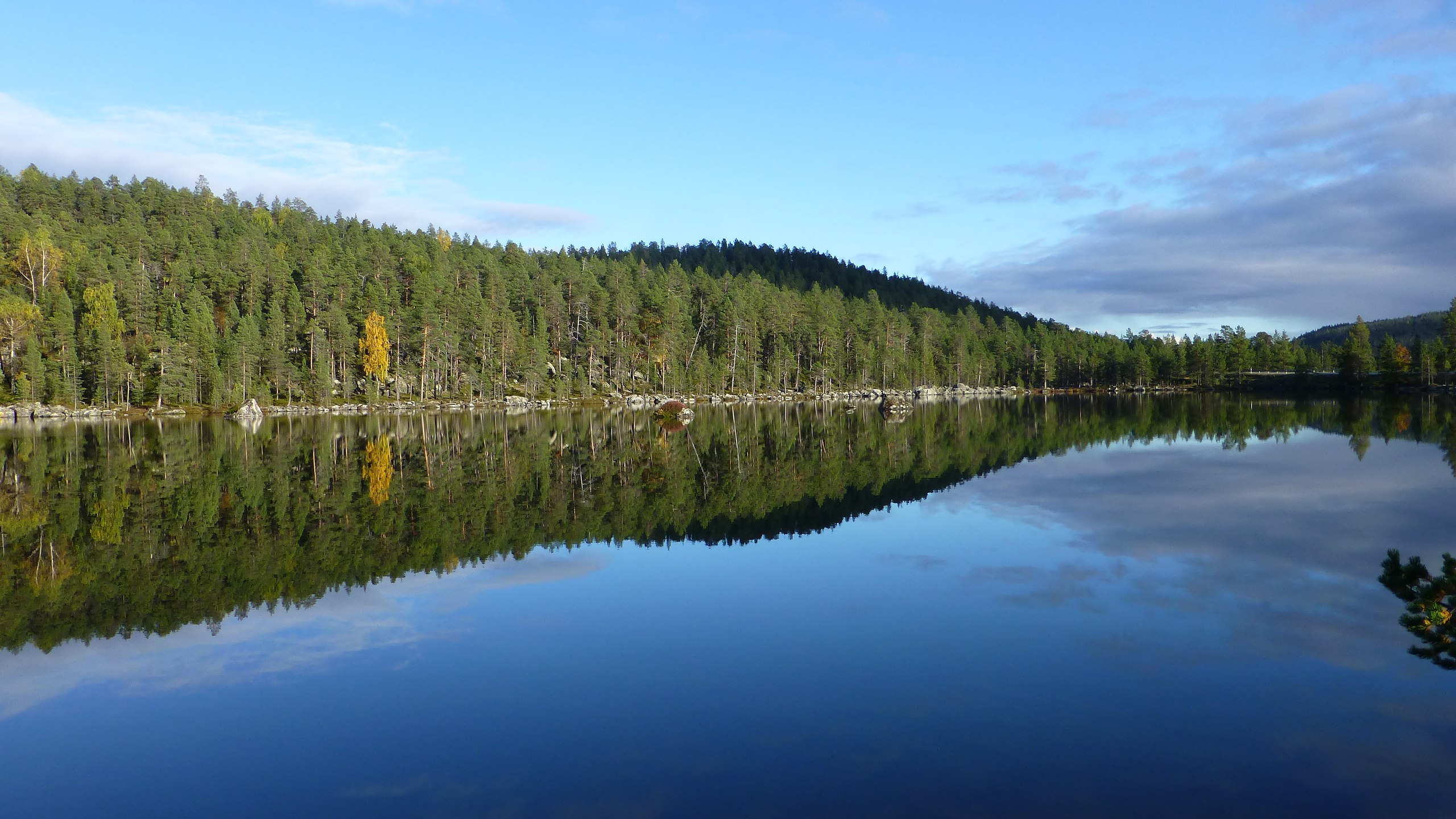 Jari - 12 ������� 2016 � 00:27 - 8