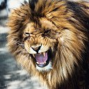 ���� �����, �������, 42 ���� - ��������� 25 ������� 2016 � ������ ������ ��������