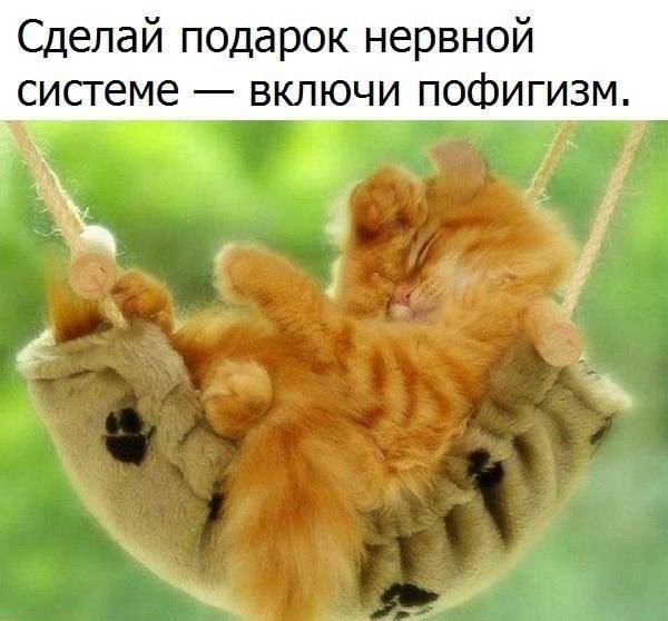  - ,  - 28  2017  03:53