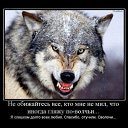 ���� ����, ������������, 58 ��� - ��������� 5 ������ 2017 � ������ ���� ����������