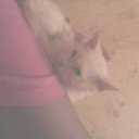 ���� ����, ������� �������� - ��������� 3 ������ 2016 � ������ ������ ��������