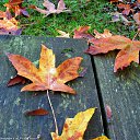 ���� ���������, ������, 69 ��� - ��������� 21 �������� 2016 � ������ �������