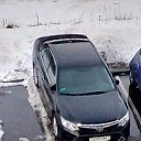 ���� ����, �����, 46 ��� - ��������� 21 ������ 2017 � ������ ���� ����������