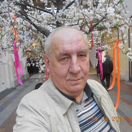 ��������, ������, 73 ����