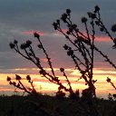 �����.22.09.2016. 18 �����. 50 ���. �� ������� �������������