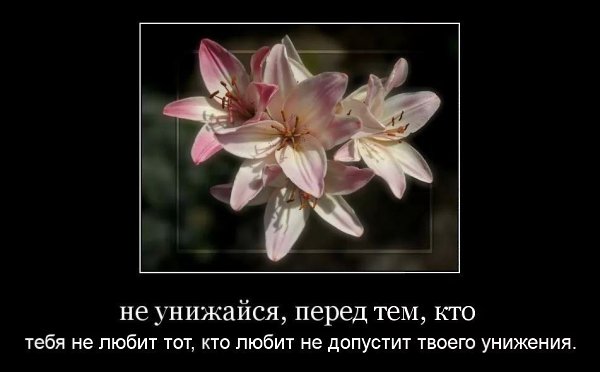 Никогда не опускай свою планку из-за того, что кто-то не может до неё подняться. - 2