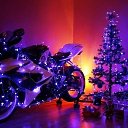 ���� �����, ��� - ��������� 24 ������� 2016 � ������ �����