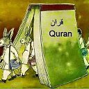 ���� Qaraman, ������ - ��������� 31 ������� 2016 � ������ ������ ��������