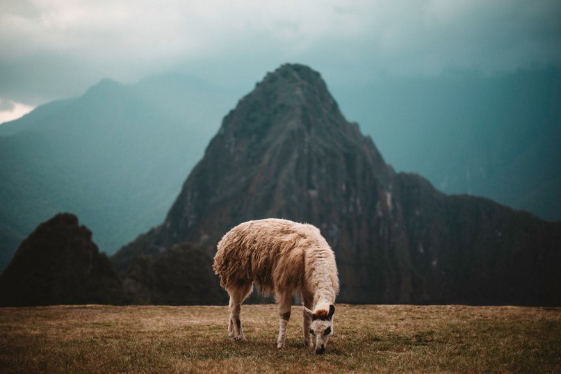 PERU - 8