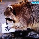 ���� �������, ������, 48 ��� - ��������� 17 �������� 2016 � ������ ���� ����������