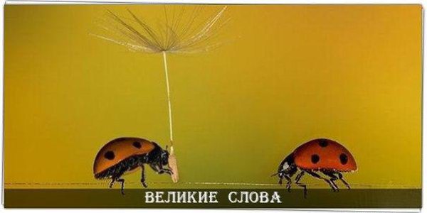Никогда не бойтесь что-то поменять в своей жизни! Иногда - это полезно! Иногда - необходимо! А ...