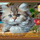 ���� ���������, ������ - ��������� 23 ������� 2016 � ������ ������