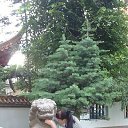 ���� �����, �����-��������� - ��������� 29 ������� 2016 � ������ ���� ����������