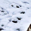 ���� ������, ������ - ��������� 14 ������� 2016 � ������ ���� ����������