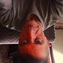  ,  , 58  -  30  2017    