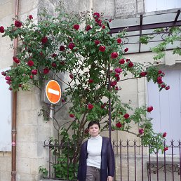 ���� �����, ������, 55 ��� - ��������� 15 ������ 2016