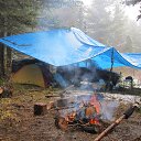 ���� �������, ����������, 49 ��� - ��������� 11 ������� 2016 � ������ ���� ����������