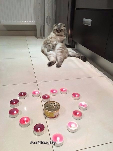 14     :