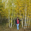 ���� ����, ����-�����, 40 ��� - ��������� 9 ������� 2016 � ������ ���� ����������