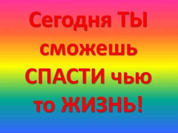 Перед Новым Годом все ждут, что вот-вот произойдет какое-нибудь чудо. Но, как часто бывает, ... - 5