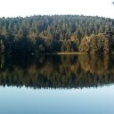 ���� �������, ���������, 73 ���� - ��������� 6 ������� 2017 � ������ ���� ����������