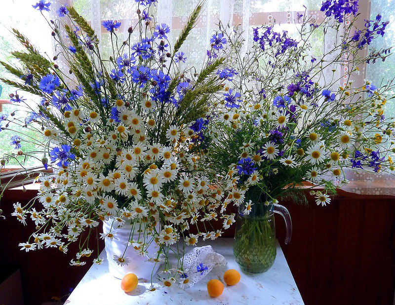  ! - 29  2016  10:40 - 6