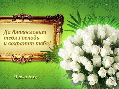 Петя - 9 декабря 2016 в 04:05