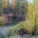 ���� Alserg, ����� - ��������� 7 ������� 2016 � ������ ������ ��������