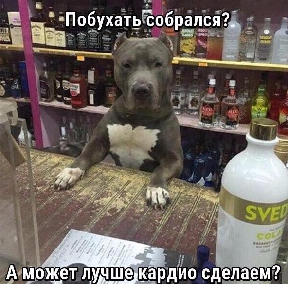  -   - 9  2016  01:51