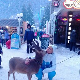 ���� ������, �����������, 50 ��� - ��������� 21 ������ 2017