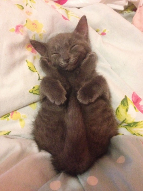����� ���� �� ������� ����������� ����� :3