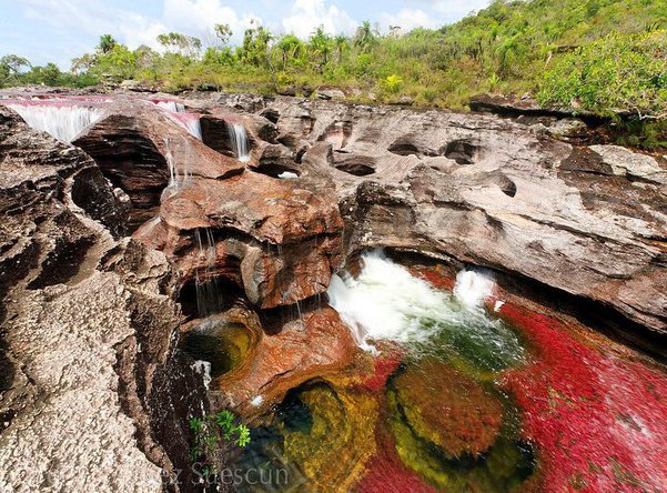 K-Kpc - o   .po o p -cc (Cao Cristales), ... - 5