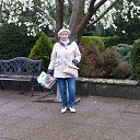 � �������� �� ������� ������ 2017�