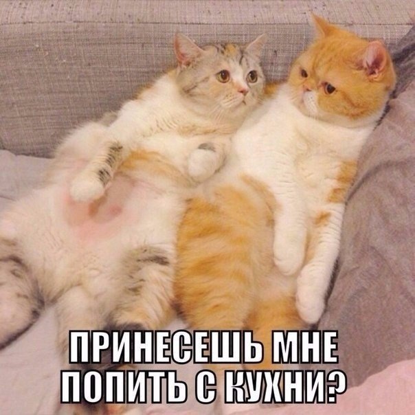   - 7  2016  21:07