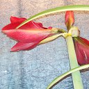 ���� ���������, �����-���������, 64 ���� - ��������� 29 �������� 2016 � ������ ���� �������� ����� !�