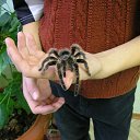 ���� ������� �� ������� ���� ����������