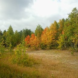 ���� ���, ������, 48 ��� - ��������� 19 ������� 2016