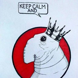 ���� ������, ���������, 24 ����