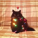 ���� ���, ������, 58 ��� - ��������� 31 ������� 2016 � ������ ������ ��������