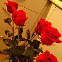 ���� ������, ������ - ��������� 11 ������ 2016 � ������ ���� ����������