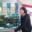 ���� ��������, �������, 85 ��� - ��������� 6 ������ 2016 � ������ ������ ��������