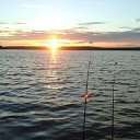 ���� �������, ���������, 53 ���� - ��������� 14 ������� 2016 � ������ ������� ����