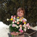 ���� �����, ����������� - ��������� 14 ����� 2017 � ������ ���� ����������