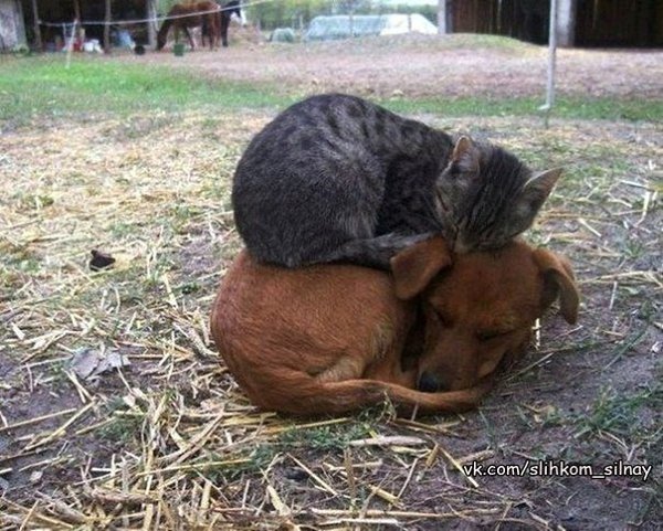 Хорошие друзья достаются тому, кто сам умеет быть хорошим другом...