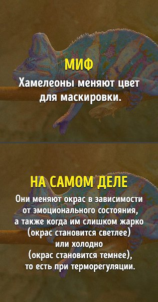 9 фактов из школьной программы, которые оказались неправдой - 5
