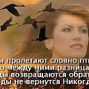 ���� �����, �����, 64 ���� - ��������� 15 �������� 2016 � ������ ���� ����������