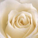 ���� ����, ����������, 58 ��� - ��������� 12 �������� 2016 � ������ ���� ����������