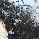 ���� �����, ����������� - ��������� 10 ������� 2017