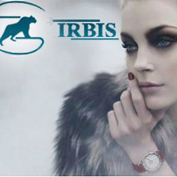 ��������, �����������